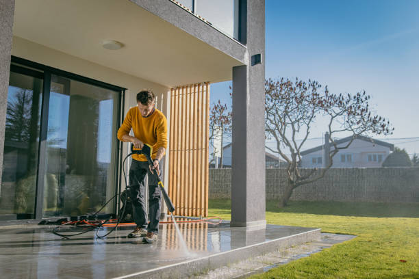 Best Roof Washing  in Ara, AL